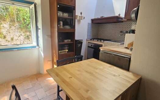 MONOLOCALE IN CENTRO LERICI