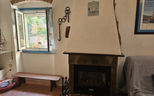 MONOLOCALE IN CENTRO LERICI