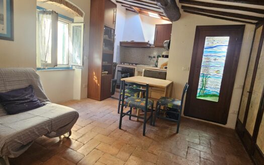 MONOLOCALE IN CENTRO LERICI